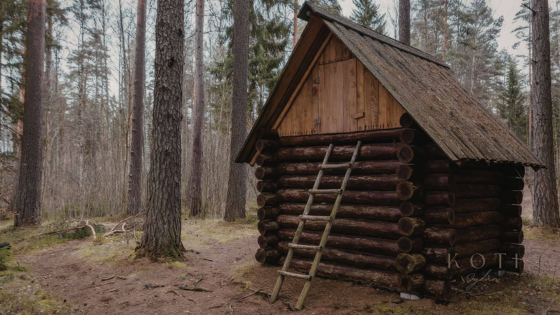 Päivätuvat ja autiotuvat retkeilijän taukopaikkana luonnossa